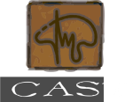 Cast
